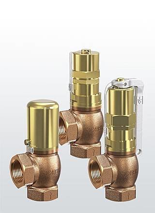 Предохранительный клапан р/р СС499К Тмакс=+225oC PN20 12-20bar 618-tGFO-PTFE-10-20